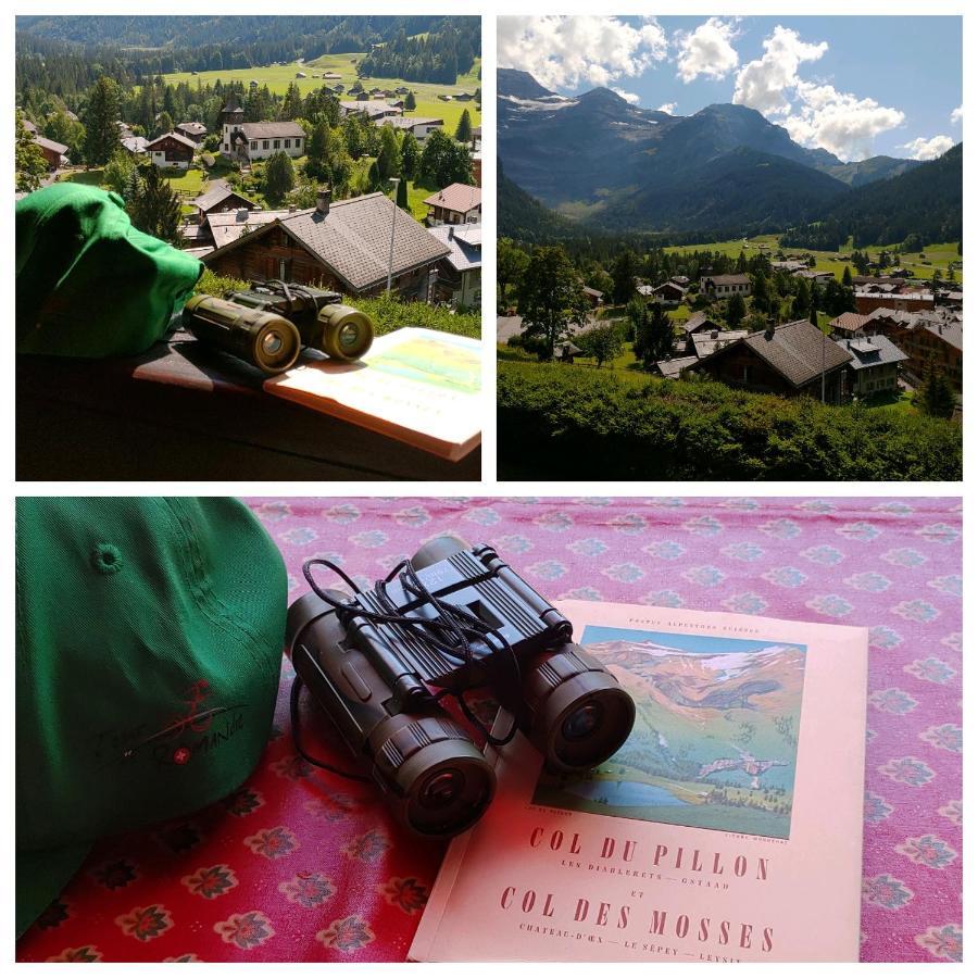 Studio Avec Vue Splendide Sur Les Diablerets Zewnętrze zdjęcie
