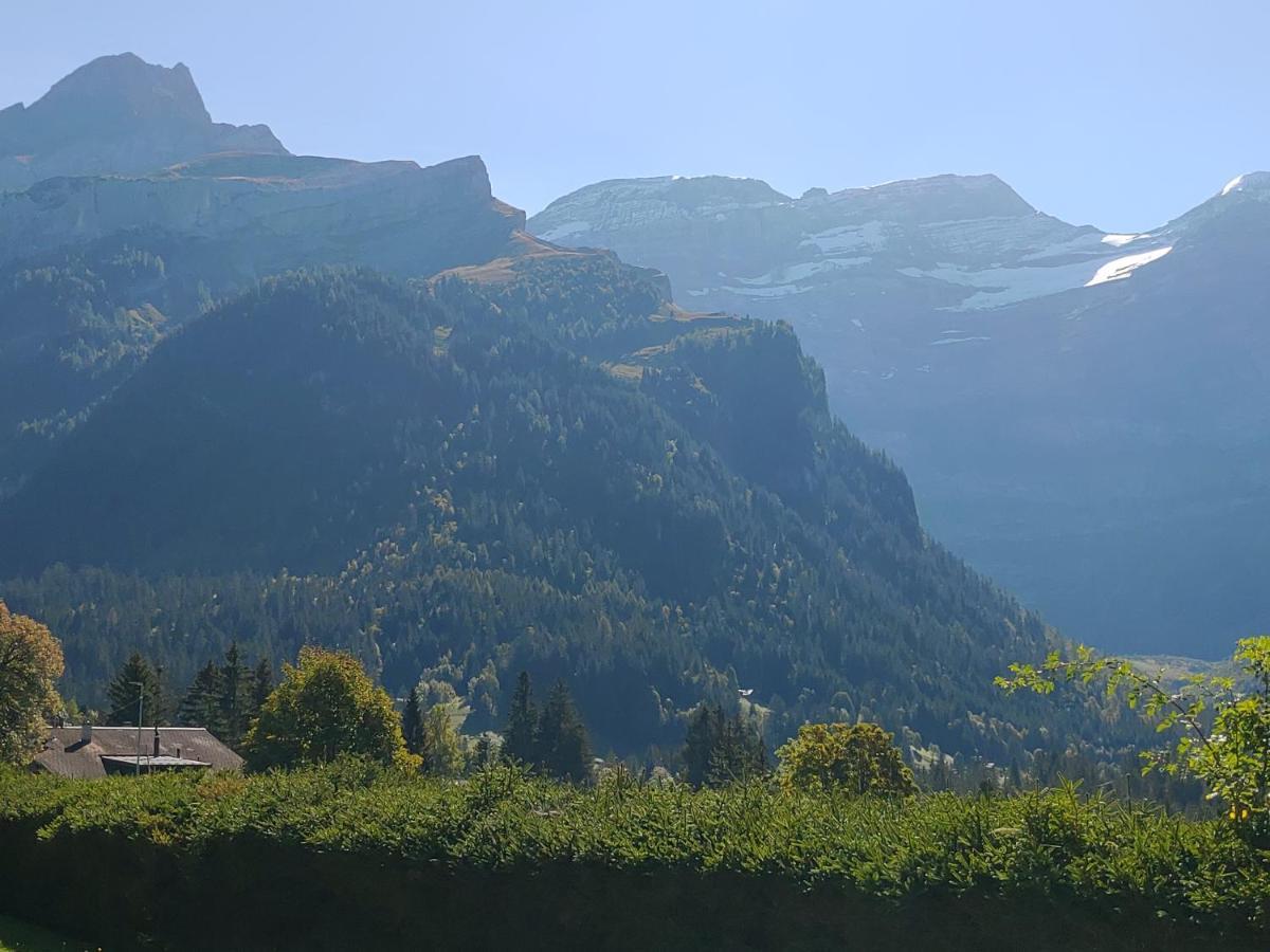 Studio Avec Vue Splendide Sur Les Diablerets Zewnętrze zdjęcie