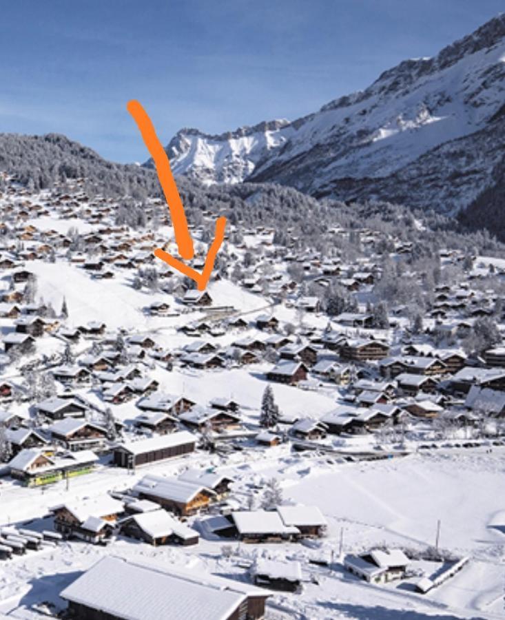 Studio Avec Vue Splendide Sur Les Diablerets Zewnętrze zdjęcie