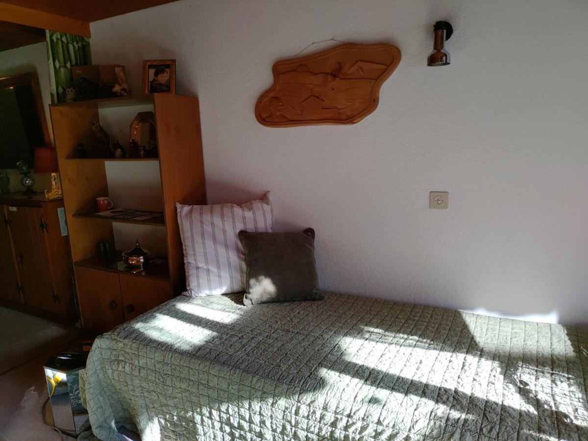 Studio Avec Vue Splendide Sur Les Diablerets Zewnętrze zdjęcie