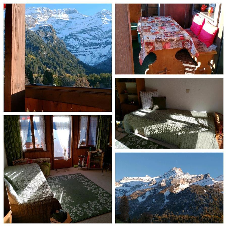 Studio Avec Vue Splendide Sur Les Diablerets Zewnętrze zdjęcie