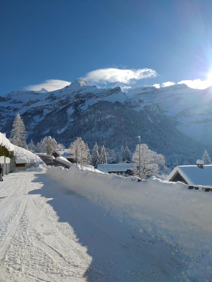 Studio Avec Vue Splendide Sur Les Diablerets Zewnętrze zdjęcie