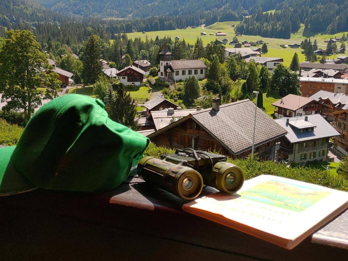 Studio Avec Vue Splendide Sur Les Diablerets Zewnętrze zdjęcie
